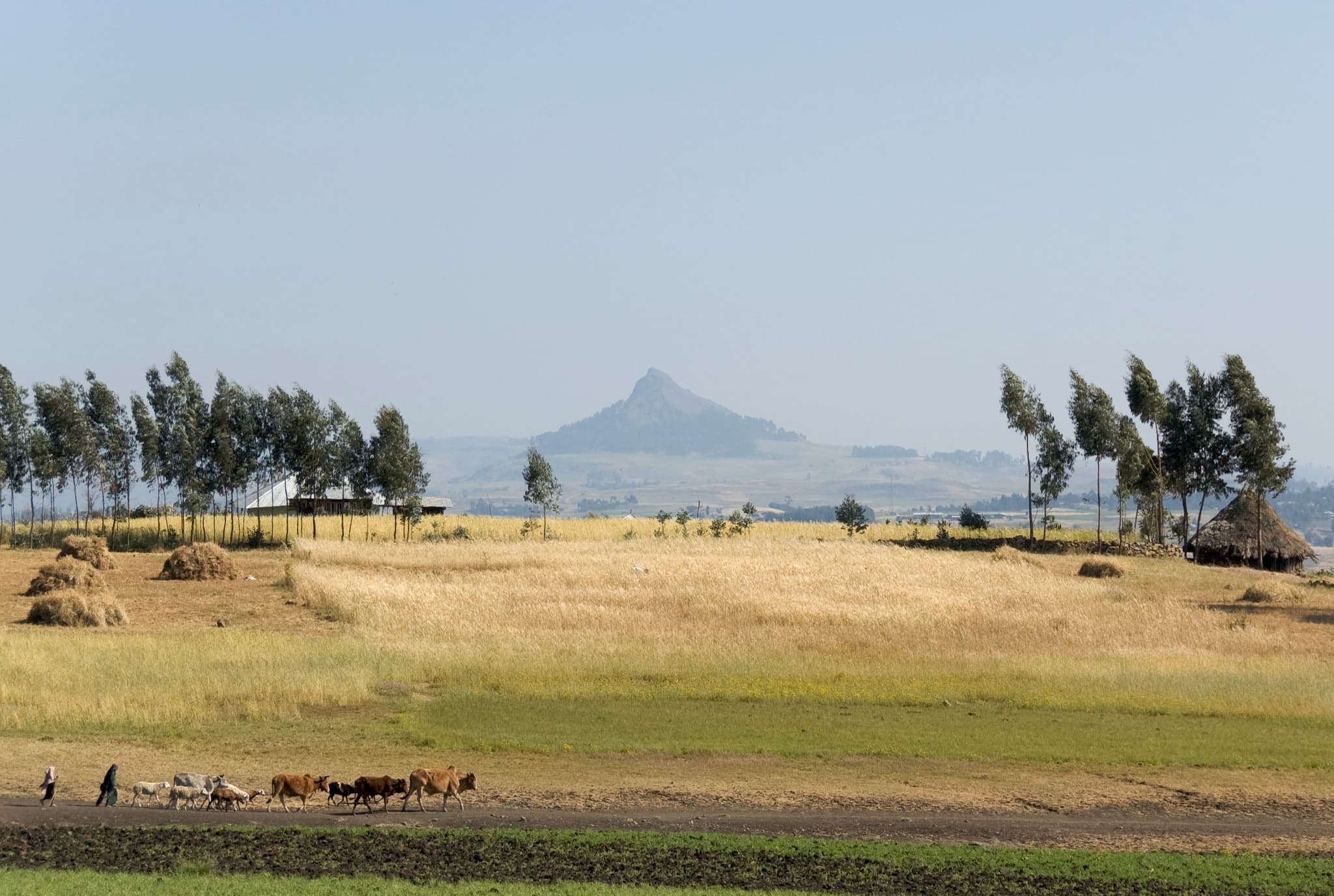 Everyday life in the northern Ethiopian highlands