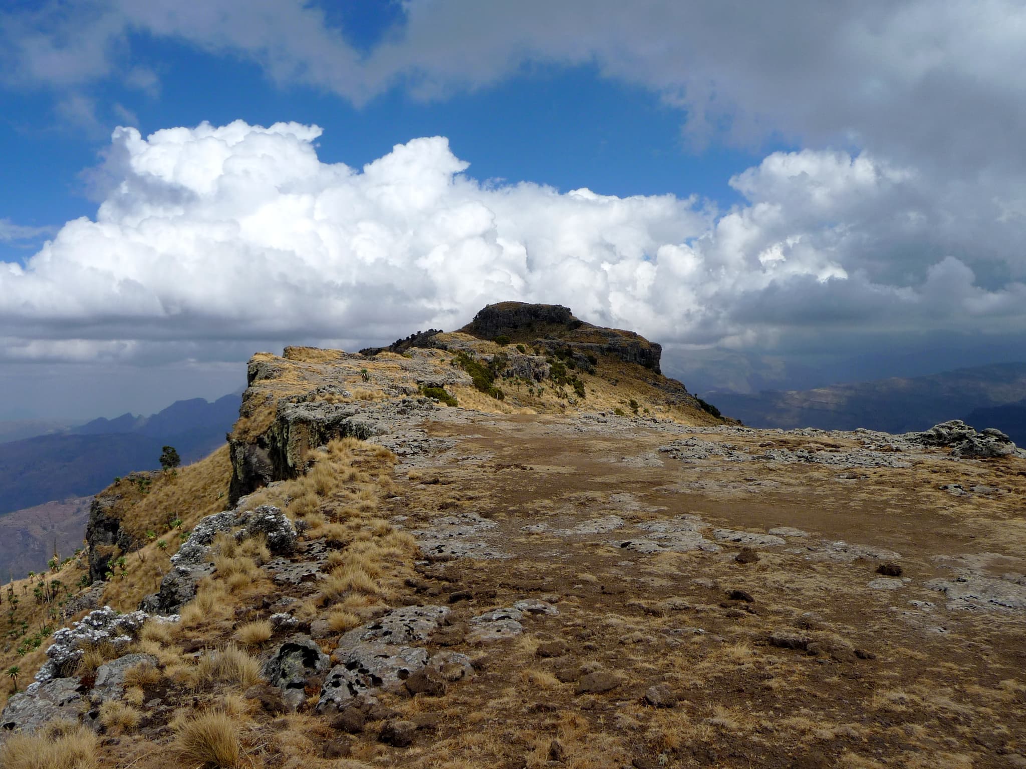 The high plateau and dramatic escarpment at Imet Gogo in the Simien Mountains